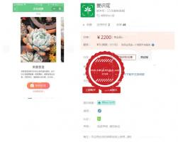 爱识花lshd_shihua V3.5.0+小程序|修复部分用户无法获取accessctoken的问题