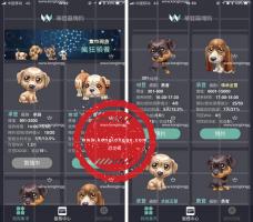 最近非常火的华登区块狗源码 派特宠物街模式12生肖源码+安卓客服端 附安装教程