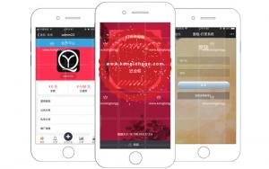 视频打赏系统DS正版V15 代理商功能+试看功能+多种免签支付接口+防封功能