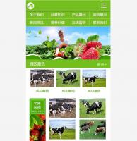 绿色水果蔬菜网站源码 农业园林织梦dedecms模板 带手机版