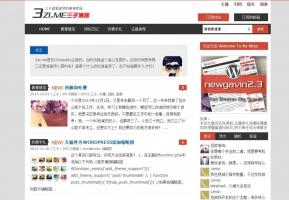 wordpress博客主题:两栏博客主题Newgavin2.3分享