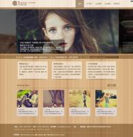 WordPress企业主题:精致的木纹背景主题分享