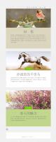 WordPress博客主题:极简响应式单栏博客主题分享