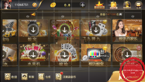【源码】微星源码，非市面版本，完整数据+全民模式保底+工程文件+双端源码齐全