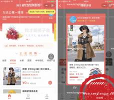 狮子鱼社区团购小程序v1.6.9 社区团购+社群团购 微擎微赞通用