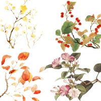 S282-1免抠PNG素材水彩手绘花朵花卉树枝树叶网店装修美化设计