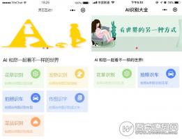 灵石AI识别大全 1.8.9 修复后台无法显示识别内容的bug 微擎小程序