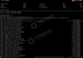 linux版本KK搭建视频教程+文字教程