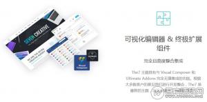 wordpress汉化主题：The7.6汉化版，支持自动更新——正版原封最新主题包+全套最新汉化插件+the7中文视频教程+附赠插件+汉化包+全套demo文件及psd