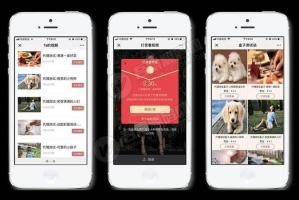 【最新修复版】视频打赏系统DS正版V15 代理商功能+试看功能+多种免签支付接口+防封功能