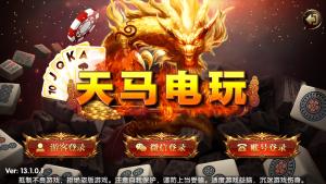 【组件+授权工具】最新一夜暴富天马电玩城完美服务器打包版本+完整数据+游戏众多