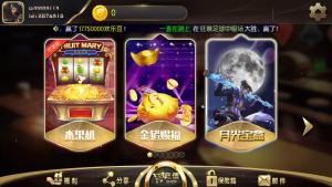 TNT永盛娱乐电玩城完整服务器打包数据+双端app正常