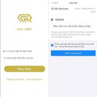 二开越南语投资理财金融理财众筹程序