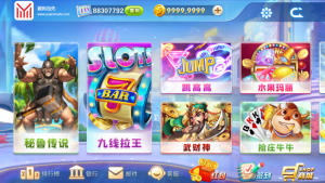 网狐电玩系列飞米电玩城+带控制端