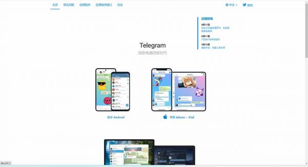 TG高仿假飞机源码
